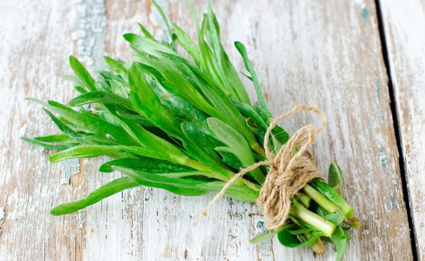 Acciughe sotto pesto